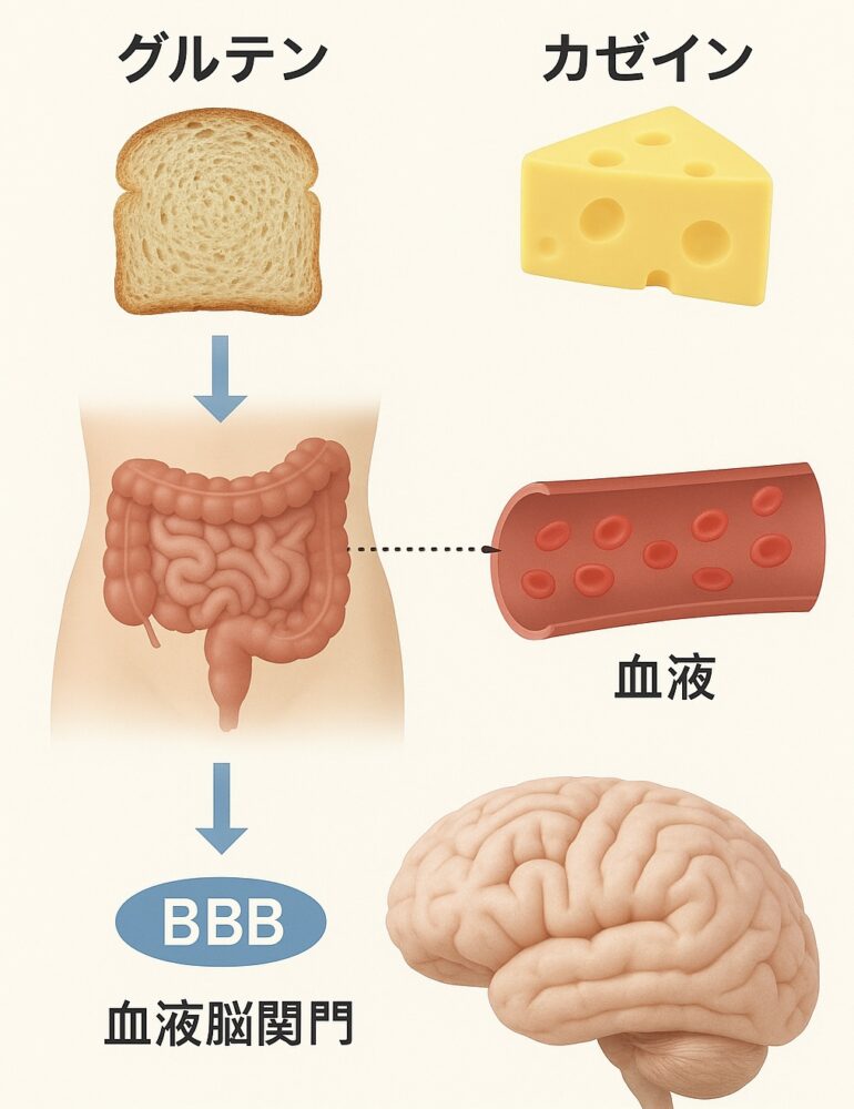 小麦や乳製品が「心と脳」に与える意外な影響
