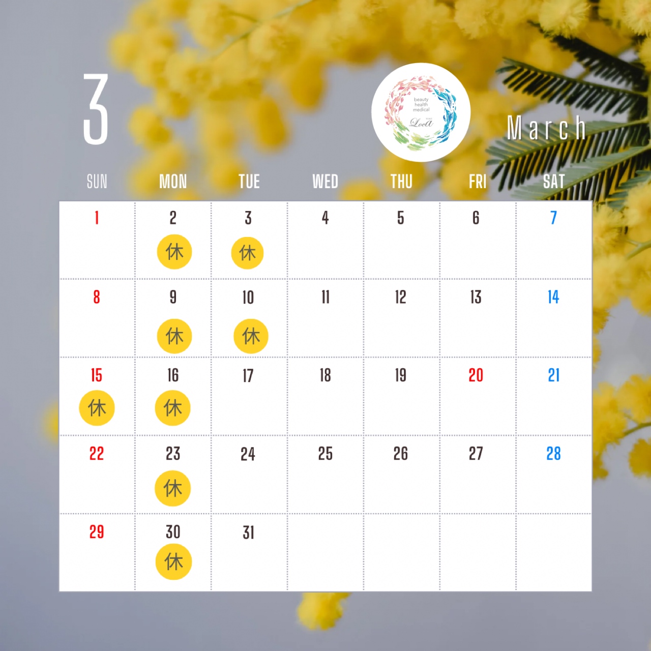 3月のサロンスケジュール